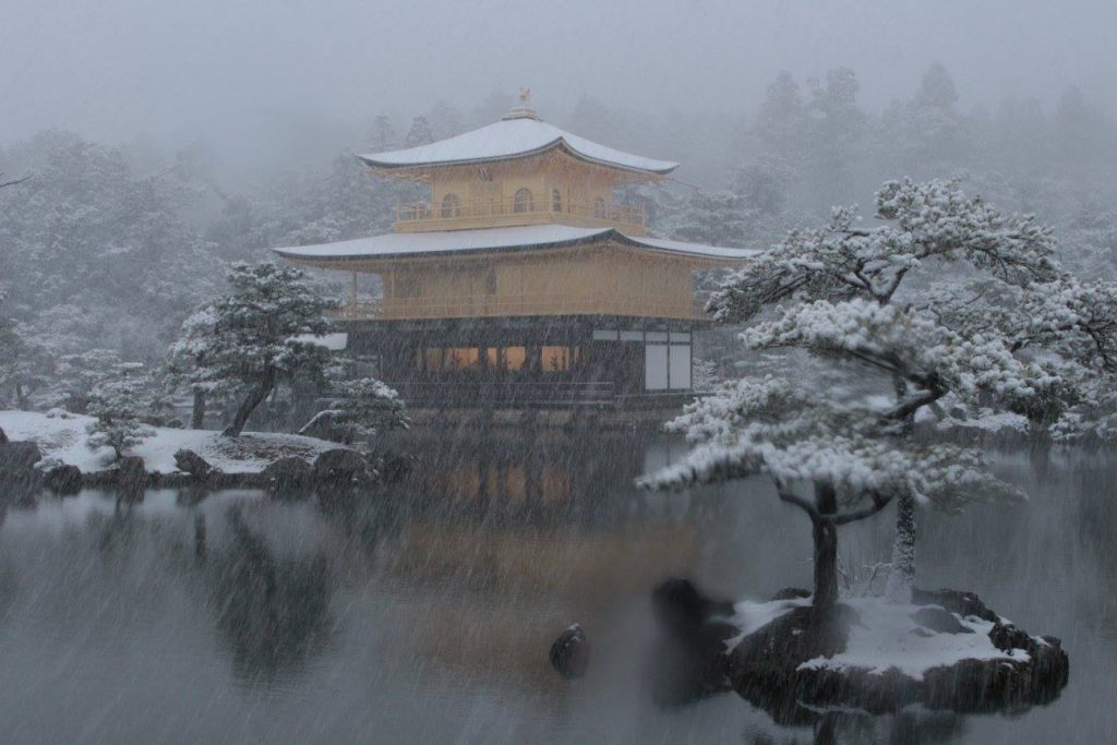 Golden Temple - Japón, Fotografía de Adriana Duarte