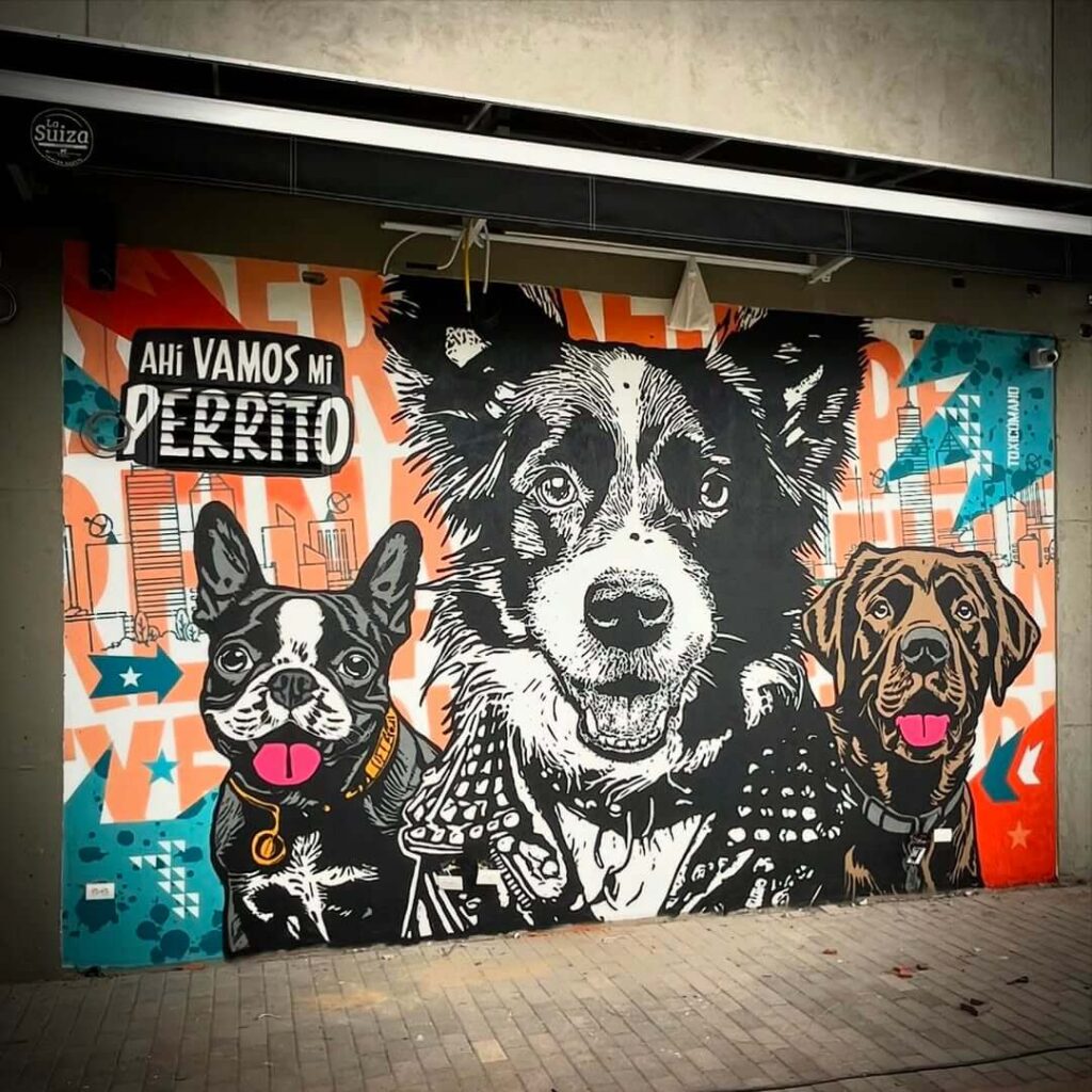Toxicomano Callejero - Ahí vamos mis perritos - Arte Colombiano