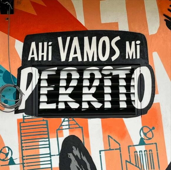 Toxicomano Callejero - Ahí vamos mis perritos - Arte Colombiano (Detalle)