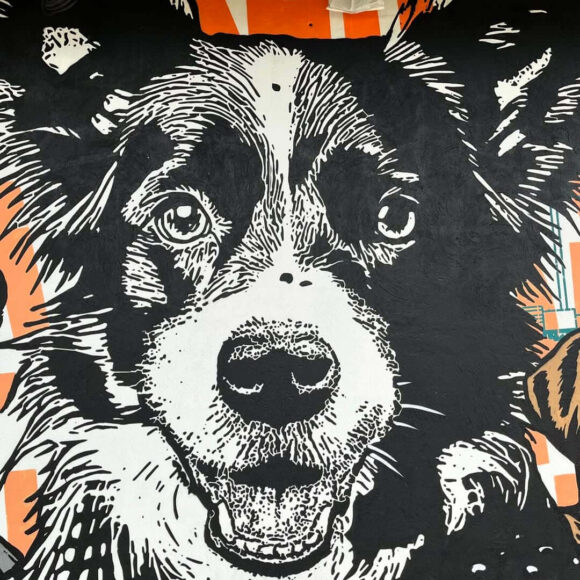 Toxicomano Callejero - Ahí vamos mis perritos - Arte Colombiano (Detalle)