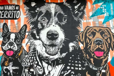 Toxicomano Callejero – Ahí vamos mis perritos | Arte Colombiano
