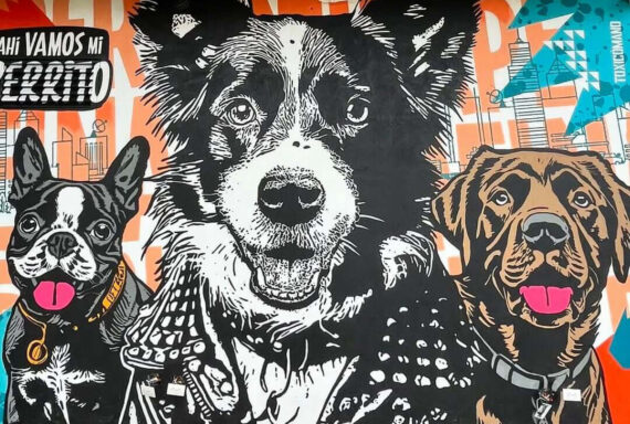 Toxicomano Callejero - Ahí vamos mis perritos - Arte Colombiano (Detalle)