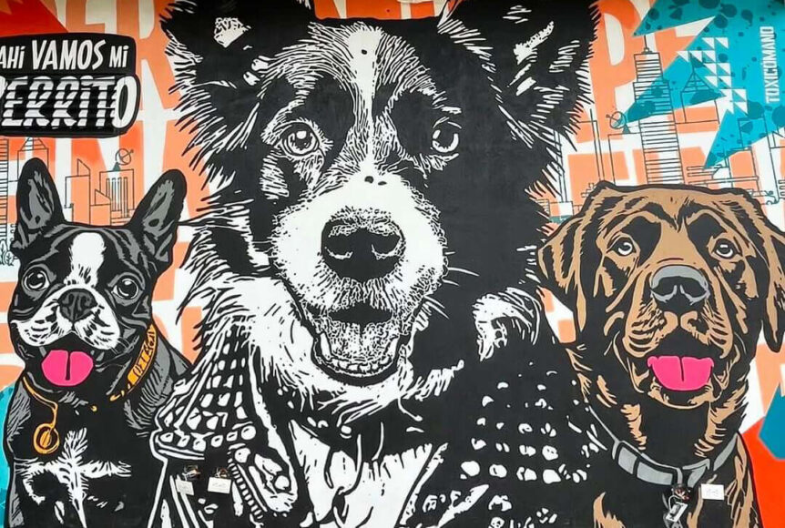 Toxicomano Callejero - Ahí vamos mis perritos - Arte Colombiano (Detalle)